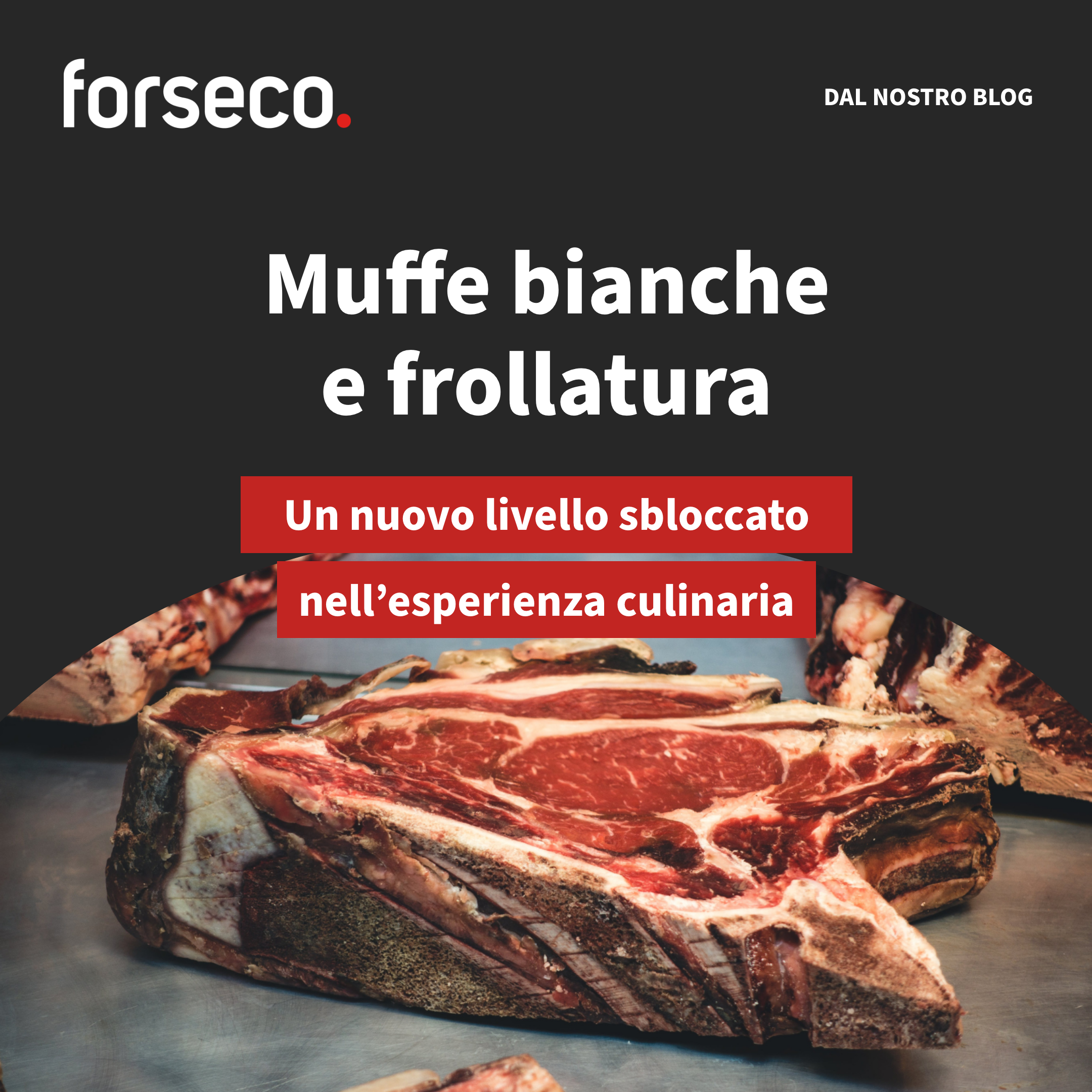 muffe bianche e frollatura carne